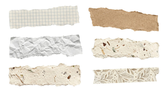 Collection of torn paper scraps with different textures and patterns on a white background