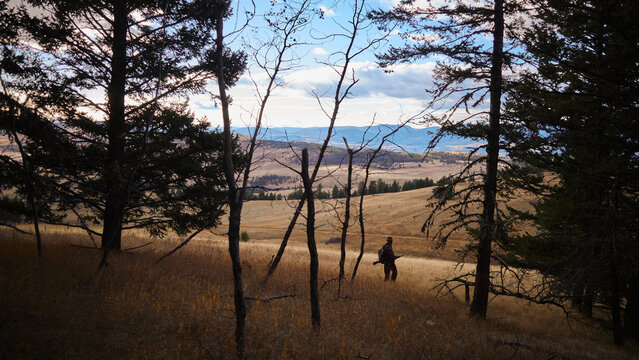 A hunters silhouette walking through trees in a grassy field at sunset
