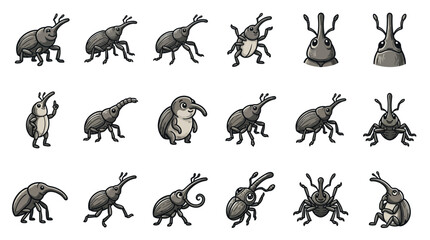 Grey weevil insect character sheet with various poses © Kinasih