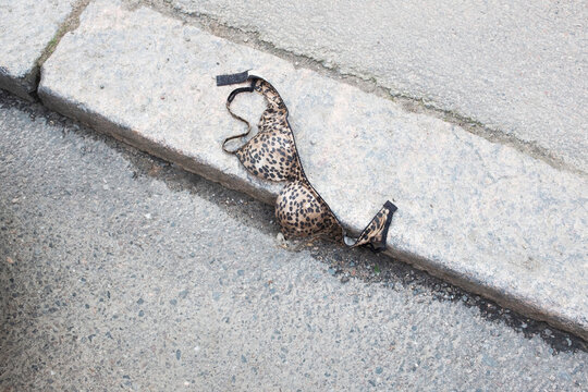 Leopard printed underwear bra left on street in the city after a party