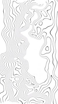 Topographic line map with abstract black and white contour pattern suitable for backgrounds, wallpapers, or modern graphic designs. Bold and versatile geometric design.