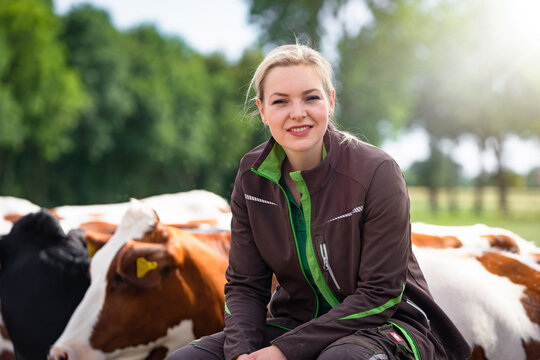 A smiling young female farmer in workwear sits on a green metal pasture gate, with a group of black-and-white and red-and-white dairy cows standing on the meadow behind her.