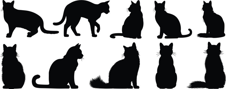 Assortment of Black Silhouette Cats in Various Poses on White Background feline