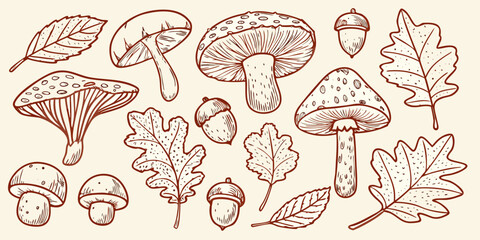 Mushroom acorn and leaf illustration in a sketched reddish brown style © Minati