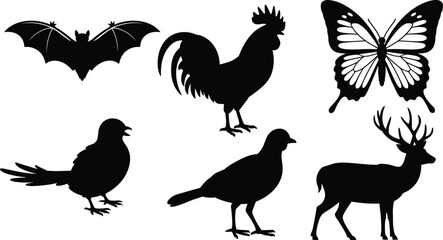 Black silhouettes of a bat rooster butterfly bird quail and deer on white background Keywords: bat silhouette rooster silhouette butterfly silhouette bird silhouette © QueenMomtaz 