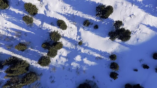 Drone footage showing a top-down view of a snow-covered forest in France during winter. Evergreen trees cast long shadows across the pristine white snow, with scattered tracks visible on the ground