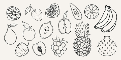 Fototapeta premium Collection Of Fruit Sketches Black And White Line Art