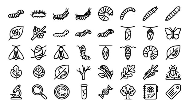 larva, caterpillar, insect, metamorphosis, biology, cocoon, chrysalis, pupa, grub, beetle, butterfly, moth, ecology, habitat, wildlife, science, entomology, outline, line, icon, monoline, educational,