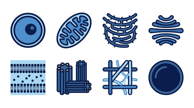 Cell Organelles Icon Set: Mitochondria, Nucleus, Golgi Apparatus, and Plasma Membrane Blue Vector Illustrations for Biology and Science Education