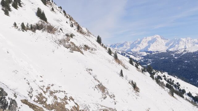 Wild chamois traverse a steep, snow-covered mountain slope dotted with evergreen trees at Col des Aravis in the French Alps. In the distance, the majestic Mont Blanc massif rises above the alpine