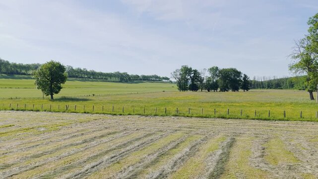 Wide shot of rural farmland in Yonne, Burgundy, France, showing open green fields, freshly cut hay, scattered trees, and a wooden fence under a clear blue sky. The landscape is gently rolling