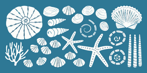 Seashells And Starfish White Line Art Illustration On Teal Background © Laki