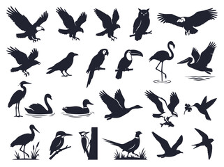 Fototapeta premium Diverse Bird Silhouettes Collection: Wildlife, Flight, Nature Icons
