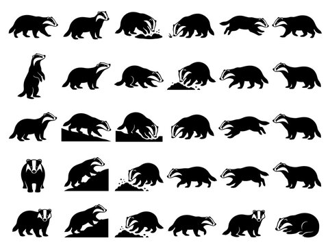 Badger Silhouette Collection: Various Poses and Actions