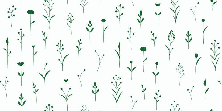 Seamless pattern with green wild plants and small flowers on white background