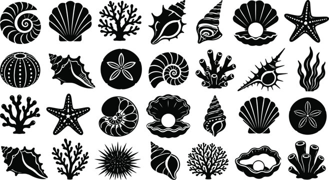 Set of sea shells, corals, starfish and sea urchins