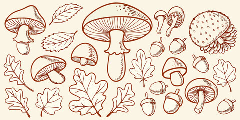 Mushroom acorn and leaf illustration in a vintage botanical style © Sarojit