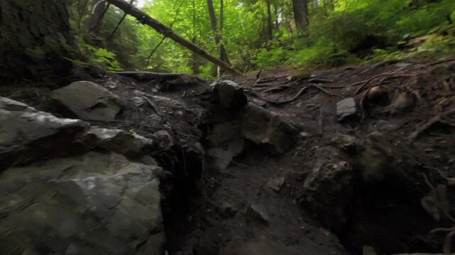 POV scrambling up a steep difficult terrain using hands to reach a forest path by a stream at Hrabovsk&eacute; vodop&aacute;dy