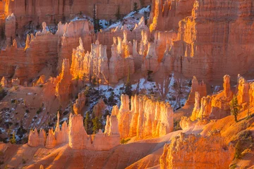 Bryce © Galyna Andrushko