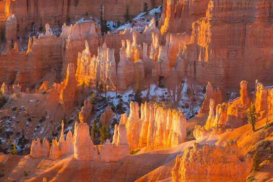 Bryce