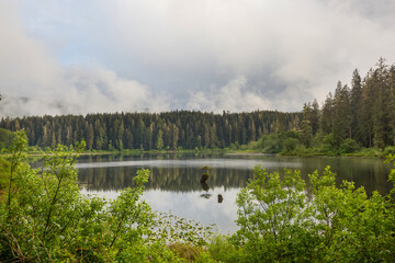 Obraz premium Vancouver island