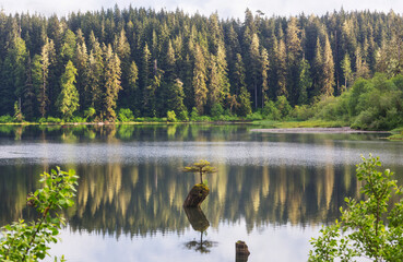 Obraz premium Vancouver island