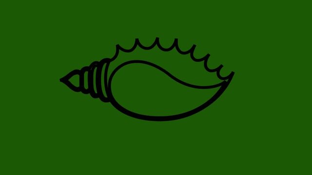 vector illustration of a sankha