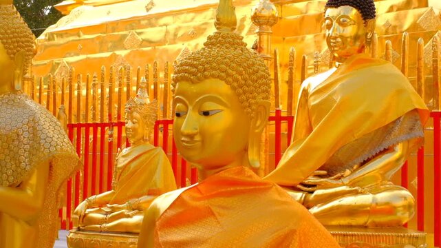 Peaceful golden Buddhas in temple rows bask in warm sunlight