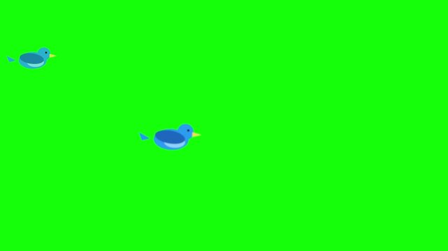 Blue birds fly across a bright green screen background in this simple animated vector sequence.