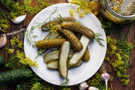 Pickled cucumbers with dill flowers, garlic, and horseradish, top view. Traditional methods of preserving vegetables through fermentation.