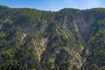 Fototapeta premium Dramatic limestone cliffs and dense alpine forests in the Julian Alps near Lake Bohinj showcasing pristine mountain landscapes in Slovenia