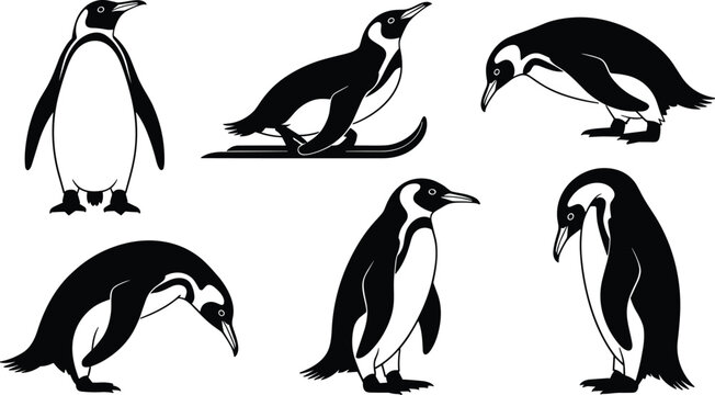 Penguin silhouette vector set featuring six black‑and‑white illustrations of penguins in various poses for wildlife, nature, and animal design projects