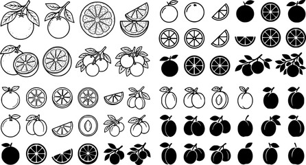 Fototapeta premium Orange Fruit Line Art Illustrations Set, Coloring Pages, Orange Fruit Icons Set Whole Oranges Slices and Black Silhouettes, Black and White Plum Fruit ... See More 