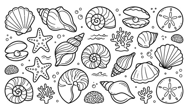 Kids Seashell Coloring Page Outline Set