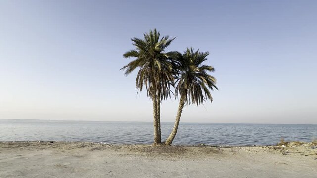 Uqair beach in Ahsa city Saudi Arabia 