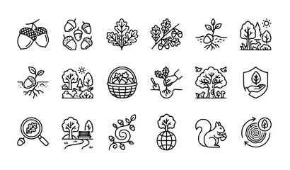 Professional Oak Nut Acorn Outline Icon Collection Editable Nature Vector Illustration © Md