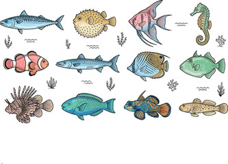 Vintage hand drawn tropical reef fish vector sticker set featuring clownfish pufferfish angelfish seahorse and lionfish isolated on white background © Md abusufian