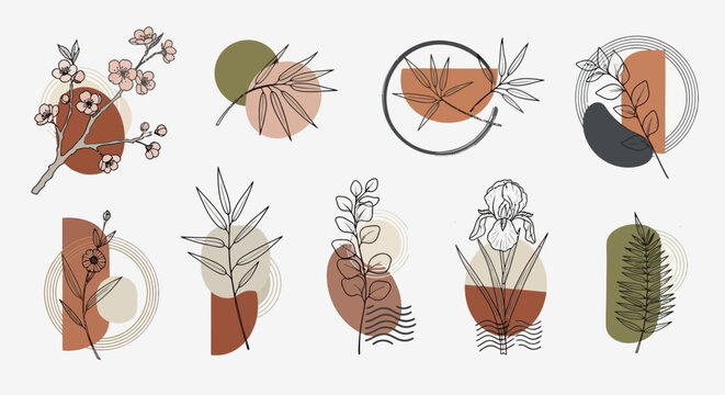 The illustration showcases various plants and leaves in pots and circles on a white background.