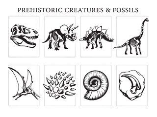 Prehistoric Creatures and Fossils Engraving Style Illustration Set © MDSAIFUL