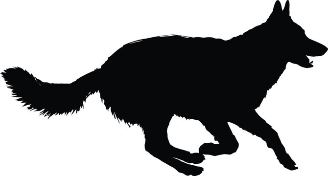 Black silhouette of a wolf howling at the full moon in night sky