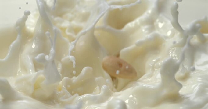 Peeled almond falling into milk with splash in super slow motion