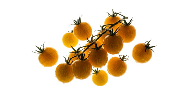 A cluster of fresh, ripe yellow cherry tomatoes on the vine, isolated on white background