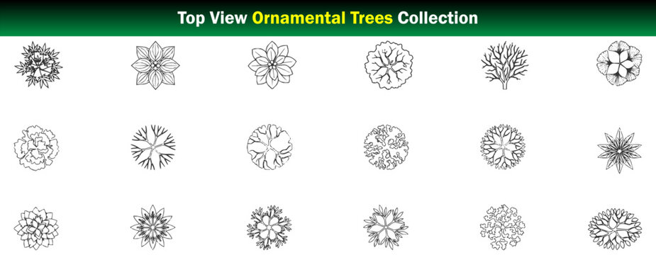 Top View Ornamental Trees CAD Collection Decorative Tree Canopies, Flowering Trees, Landscape Specimens and Architectural Planting Symbols &ndash; CAD Block Set Top View, Clean Thin Line Architectural Style