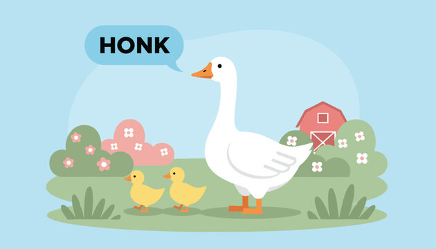 Proud white mother goose honking next to her two small yellow goslings in a green farm pasture with a red barn in the distance.