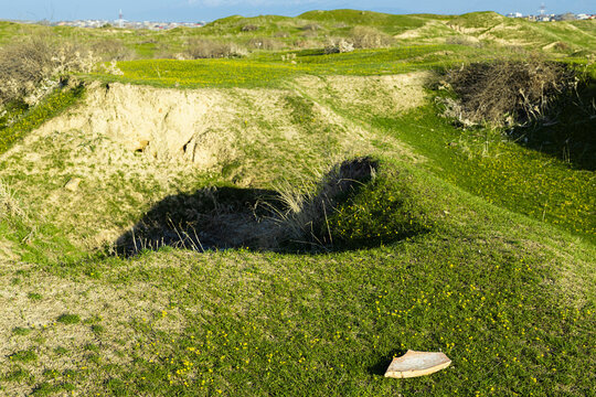 Rolling green hills of Afrasiyab archaeological site in Samarkand with a pottery shard on spring grass. Ancient settlement landscape ideal for history, archaeology, and travel publications.