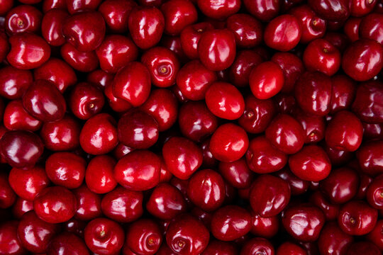 Top View of Ripe Red Sweet Cherries Creating Vibrant Healthy Food Texture