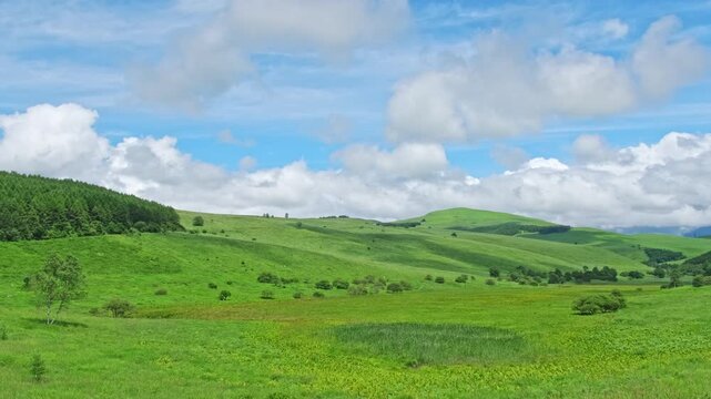 長野県霧ヶ峰高原の踊場湿原と青空の風景