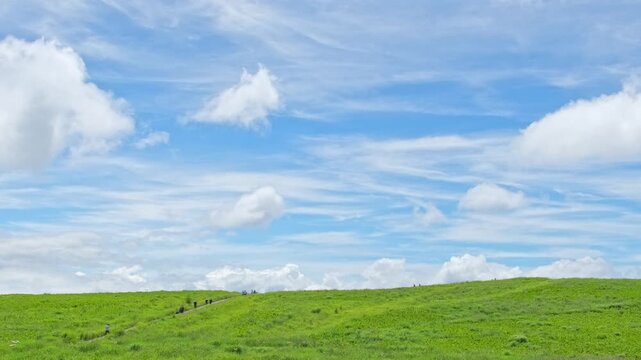 霧ヶ峰高原に広がる草原と青空の風景