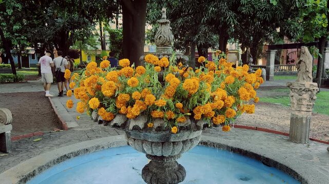Marigold flower fountain welcomes visitors at the entrance to Hacienda Sauza surrounded by traditional architecture and landscaped gardens reflecting the cultural heritage of the tequila producing reg