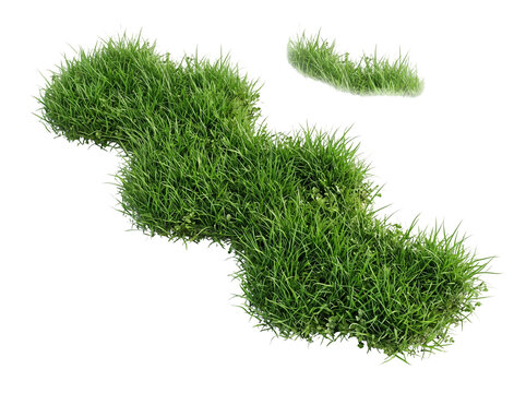 Vibrant natural green grass patch featuring long blades and small clover leaves with rich soil texture clumps isolated for landscape design projects presented in a high quality view on transparent bac